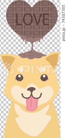 とろけるハートチョコレート柴犬 74387305