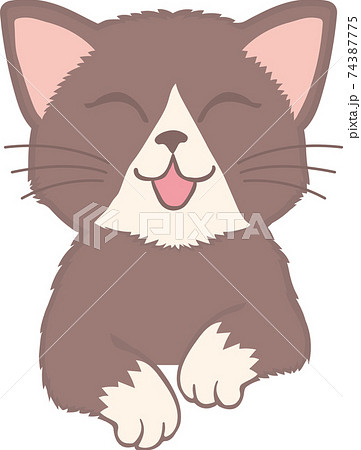 タキシード模様の手をたらした猫 74387775