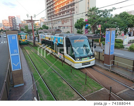 鹿児島市交通局　7000形超低床電車LRT 郡元電停　緑化軌道 74388044