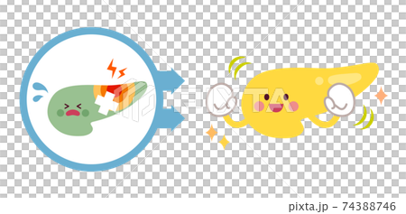 不健康な膵臓から健康な膵臓になるビフォーアフター 74388746