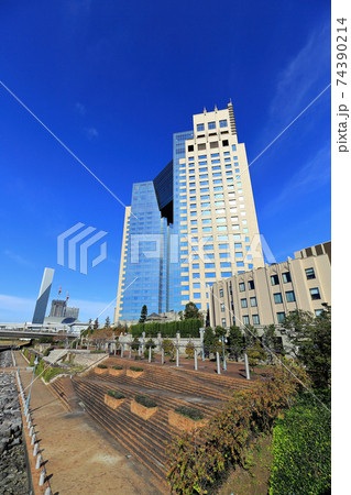 東京　有明　東京ベイコート倶楽部 74390214