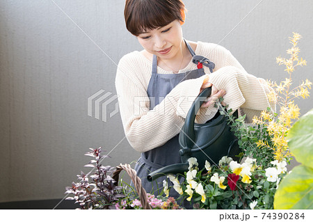 寄せ植え・ガーデニングをする日本人女性 寄せ植え・ガーデニングをする日本人女性 74390284