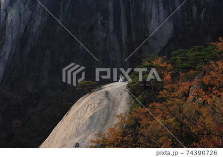 秋 木 登山 74390726