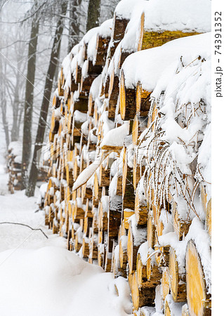 Stacked wooden logs in winter Stacked wooden logs in winter 74391352