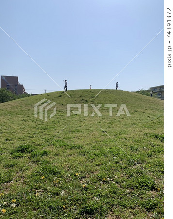 公園の緑と青空 74391372