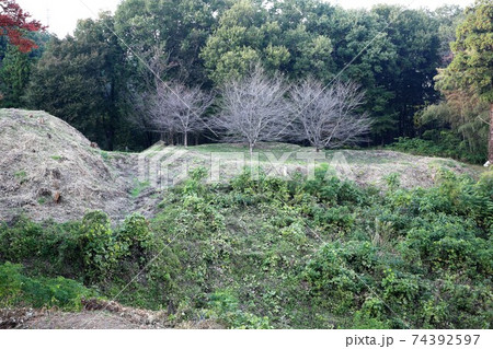 杉山城 杉山城 74392597