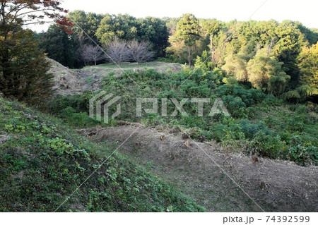 杉山城 74392599
