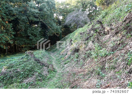 杉山城 74392607