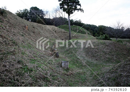 杉山城 74392610