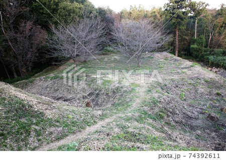 杉山城 74392611