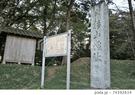 杉山城 74392614
