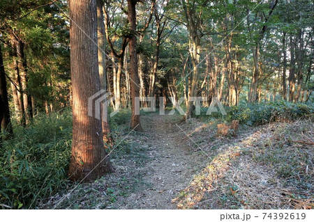 杉山城 杉山城 74392619