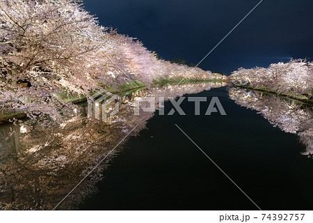 弘前の夜桜（弘前城の西濠） 74392757