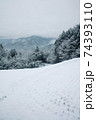 雪景色 74393110