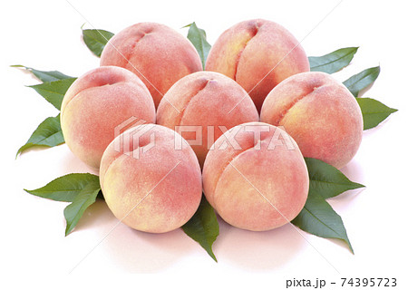 日本の旬の桃 74395723