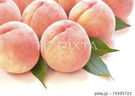 日本の旬の桃 日本の旬の桃 74395725