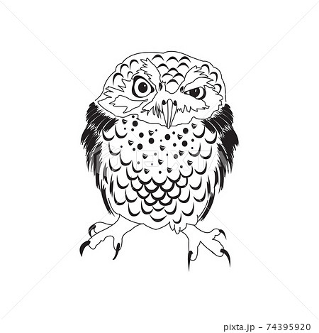 Hand drawn black white illustration owl fly bird. Art Coloring book owl . 74395920