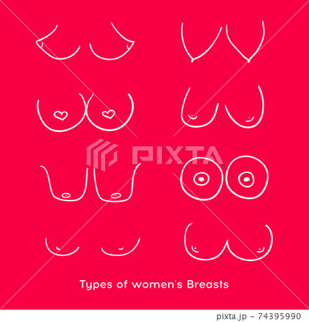 Types of women's Breasts. Women's Breast Icon, - Stock Illustration  [74395990] - PIXTA