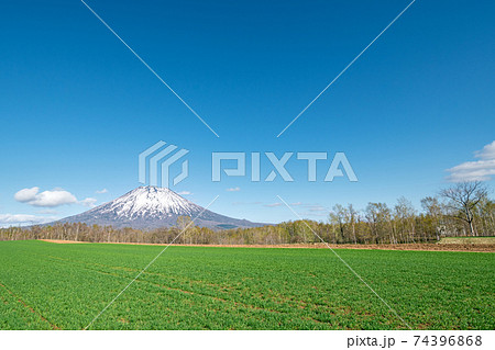 青空と羊蹄山 / 北海道ニセコエリア 青空と羊蹄山 / 北海道ニセコエリア 74396868
