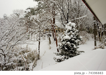 那須高原の大雪の表情（その2） 74396883
