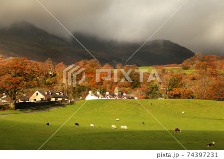 Autumn dramatic landscape 74397231