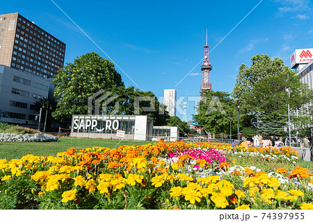 夏の大通公園 / 北海道札幌市の観光イメージ 74397955