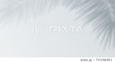 Realistic tropical shadow overlay effect on concrete wall background. Blurred transparent soft light shadow of palm leaves. Vector illustration of contemporary mockup backdrop Realistic tropical shadow overlay effect on concrete wall background. Blurred transparent soft light shadow of palm leaves. Vector illustration of contemporary mockup backdrop 74398461