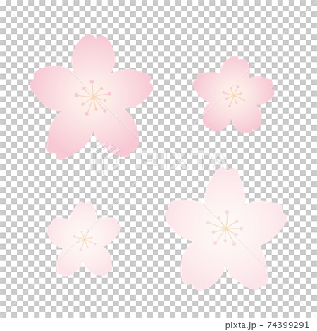 櫻花圖大與小集 74399291