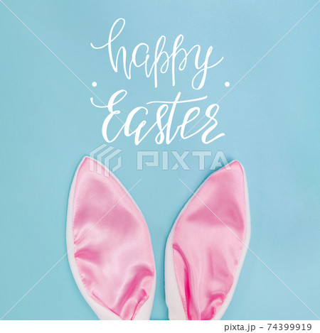 Decorative pink bunny ears on blue background 74399919