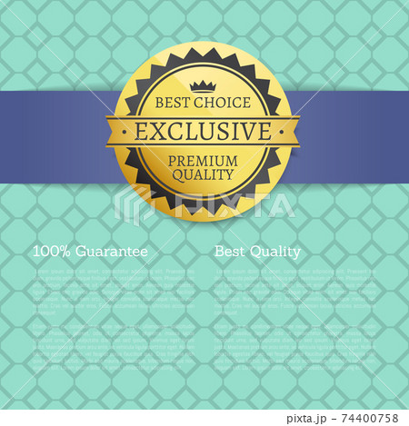 Best choice golden label on a blue striped background vector template premium quality reward 74400758