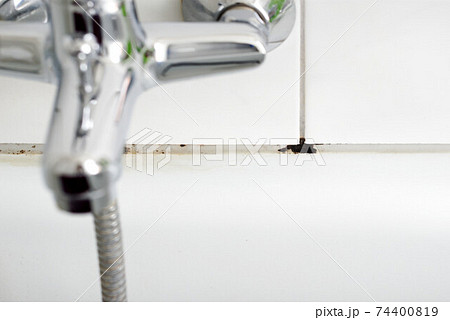 Mould in a Mould in a bathroom on the silicone		 74400819