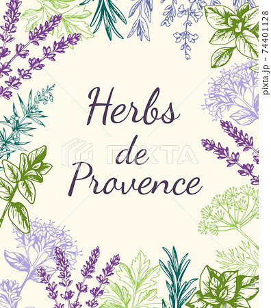 Background with Provencal spices and herbs. 74401128