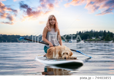 Girl with a dog on a paddle board 74403855