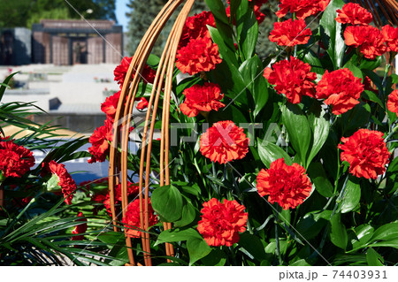 flowers on the memorial to fallen soldiers, red carnations on black marble 74403931