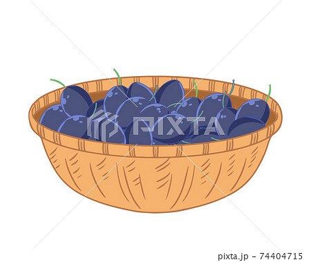 かごに入ったプルーン　線無し 74404715