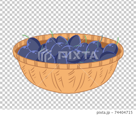 No prunes in the basket 74404715