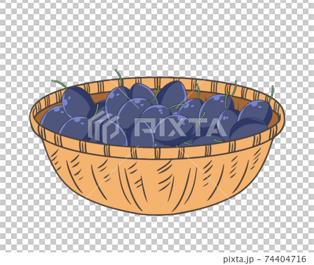 Prunes in the basket 74404716