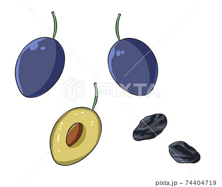 プルーンのイラスト素材
