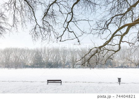 Jan Kasprowicz Park in winter, Szczecin, Poland. 74404821