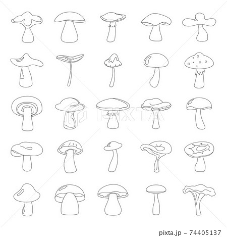 Cartoon mushrooms vector illustration set in thin line style. Different natural design kinds elements mushrooms Cartoon mushrooms vector illustration set in thin line style. Different natural design kinds elements mushrooms 74405137