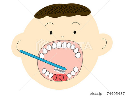 歯みがきのイラスト 下の歯を磨く のイラスト素材