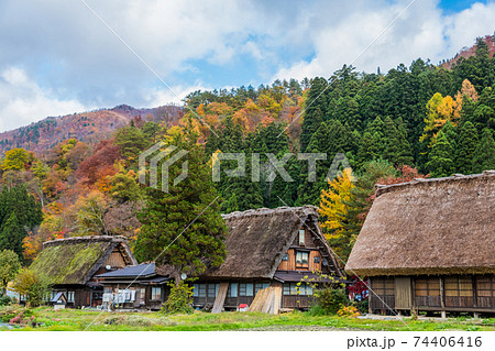 【紅葉の白川郷 合掌造り集落 】 【紅葉の白川郷 合掌造り集落 】 74406416