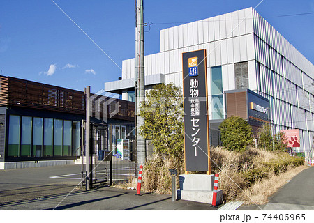 動物高度医療救命救急センター 動物高度医療救命救急センター 74406965