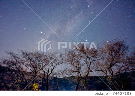 星のイルミネーション 星のイルミネーション 74407103