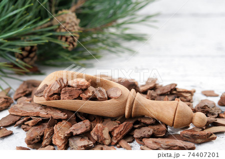 Pine bark, wooden scoop and branches of pine tree on white wooden board. 74407201