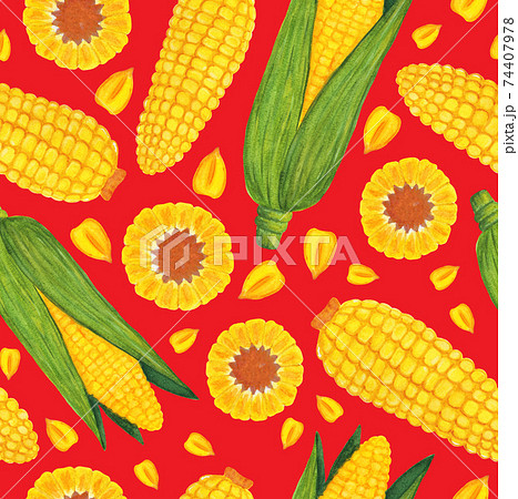 Nice watercolor corn seamless pattern with kernels 74407978