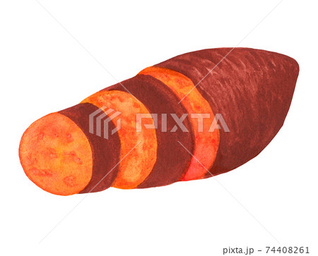 Chopped sweet potato isolated on white background 74408261
