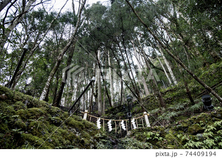 貴船神社へ初詣 貴船神社へ初詣 74409194