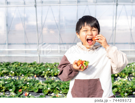 笑顔でいちごを持つ男の子 74409372