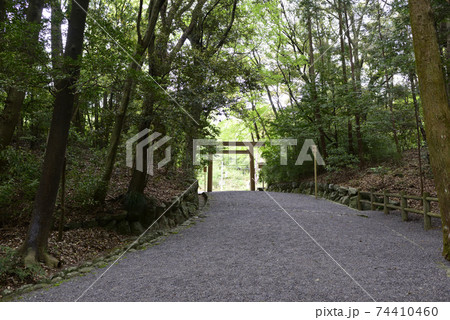 伊勢神宮　内宮別宮　倭姫宮　参道 74410460